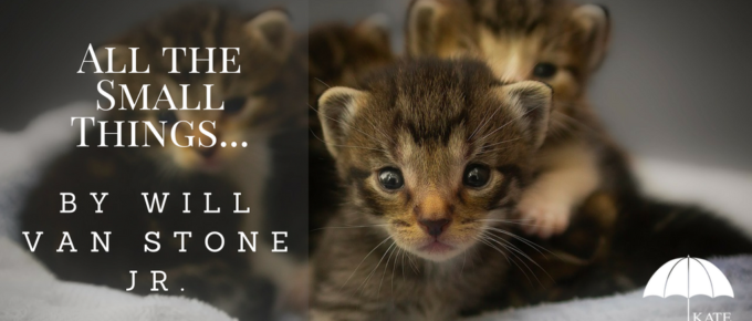 All the Small Things... by Will Van Stone Jr. - katetilton.com